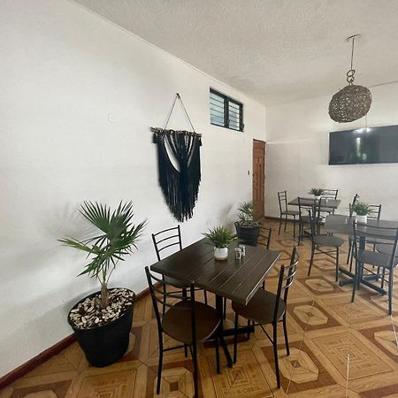 מלון פלאייה דל כרמן Balam Playa - 15Th Ave מראה חיצוני תמונה The interior of the restaurant